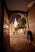 Tor zum Garten Alcazar, Blick auf die Giralda , Sevilla, Andalusien, Spanien, Europa