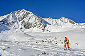 Woman backcountry skiing ascending towards Gabler, view to Wildgerlosspitze, Gabler, Zillertal Alps, Salzburg, Austria