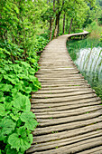 Steg im Nationalpark Plitzwitzer Seen, Plitvitzer Seen, Nationalpark Plitvitzer Seen, Plitvice, UNESCO Weltnaturerbe Nationalpark Plitvitzer Seen, Kroatien