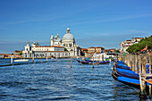 Santa Maria della Salute with gondolas in foreground, Venice, UNESCO World Heritage Site Venice, Venezia, Italy