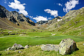 Hochmoos mit Ruderhofspitze, Regensburger Hütte, Stubaier Höhenweg, Stubaier Alpen, Tirol, Österreich