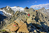 Woman hiking ascending towards Grosser Troegler, Wilder Pfaff and Zuckerhuetl in background, Grosser Troegler, Stubai Alps, Tyrol, Austria