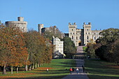 The Long Walk, Windsor Great Park, Windsor Castle, Berkshire, England