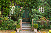 Verwunschener, grün überwachsener Hauseingang, Ziegenhain, Hessen, Deutschland, Europa