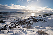 Verschneite Landschaft im pingvellir Nationalpark, Island, Iceland, Europa