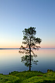 Morning mood at lake Mueritz, Mueritz-Elde-Wasserstrasse, Mecklenburgische Seenplatte, Mecklenburg-West Pomerania, Germany