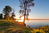 Morning mood at lake Mueritz, Mueritz-Elde-Wasserstrasse, Mecklenburgische Seenplatte, Mecklenburg-West Pomerania, Germany