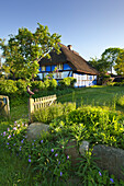 House with thatched roof, Warthe, Lieper Winkel, Usedom, Baltic Sea, Mecklenburg-West Pomerania, Germany