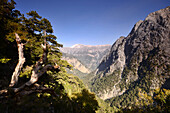 am obernen Einstieg in die Samariá Schlucht, West- Kreta, Griechenland