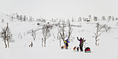 'Two cross country skiiers and a team of dogs cross over a winter landscape; Norland, Norway'