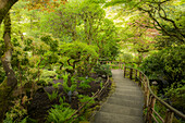 Japanischer Garten in Butchart Gardens, Victoria, Britisch-Kolumbien, Kanada