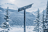 Icefields Parkway, Banff National Park, Jasper Nationalpark, Alberta, Kanada, Nordamerika