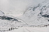 Icefields Parkway, Banff National Park, Jasper Nationalpark, Alberta, Kanada, Nordamerika