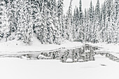 bridge at Emerald Lake, Emerald lake, Yoho National Park, British Columbia, Kanada, north america