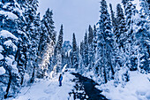 Mann wandert an einem Fluss im Yoho Nationalpark, Emerald Lake, Yoho Nationalpark, British Columbia, Kanada, Nordamerika