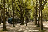 Allee in Park mit Straßenbahn Haltestelle Pôle d'Echanges Quinconces, Bordeaux, Gironde, Nouvelle-Aquitaine, Frankreich, Europa