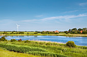 Westermarkelsdorf, Fehmarn island, Baltic coast, Schleswig-Holstein, Germany