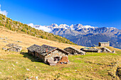 Alpine huts framed by snowy peaks of Bernina Group, Arcoglio Alp, Val Torreggio, Malenco Valley, Valtellina, Lombardy, Italy, Europe