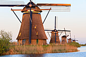 Traditionelle niederländische Windmühlen, Kinderdijk, UNESCO Weltkulturerbe, Molenwaard, Südholland, Niederlande, Europa