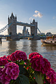 Tower Bridge and City of London skyline from Butler's Wharf, London, England, United Kingdom, Europe