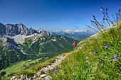 Frau beim Wandern steigt zur Soiernspitze auf, Wörner und Wetterstein im Hintergrund, Soiernspitze, Karwendel, Oberbayern, Bayern, Deutschland