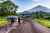 Man carrying a lot of bags on a bicycle, Virunga National Park, Democratic Republic of the Congo, Africa