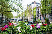 Jordaan district, Amsterdam, Netherlands, Europe