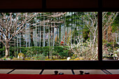Blick auf japanischen Garten und Bambuswald, Hosen-in-Tempel, Kyoto, Japan, Asien