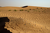 Sanddünen bei Sonnenuntergang in der Nähe von Dubai, Vereinigte Arabische Emirate, im Nahen Osten
