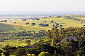 Queen Elizabeth Nationalpark, Uganda, Afrika