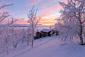 Dämmerung Licht beleuchtet ein einsames Haus im verschneiten Wald, Bjorkliden, Norbottens Ian, Schweden, Skandinavien, Europa