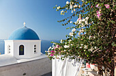 Weiße Kirche mit blauer Kuppel und Blumen, Oia, Santorini, Kykladen, Griechische Inseln, Griechenland, Europa