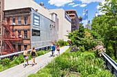 Lower Manhattan tourist attraction, The High Line, urban park, an elevated disused rail line, New York City, United States of America, North America