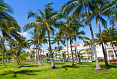Ocean Drive and Art Deco architecture looking through palm trees, Miami Beach, Miami, Florida, United States of America, North America