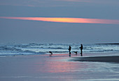 Dog walkers in silhouette on Bamburgh Beach at sunrise, Bamburgh, Northumberland, England, United Kingdom, Europe