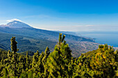 View over the Teide volcano and Teide National Park, UNESCO World Heritage Site, Tenerife, Canary Islands, Spain, Europe