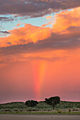Sonnenuntergang und Sturm über Kgalagadi Transfrontier Park, Nordkap, Südafrika, Afrika