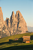Alpe di Siusi/Seiser Alm, Dolomites, South Tyrol, Italy, Sunrise on the Alpe di Siusi