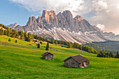 Gampenwiese, Gampen Alm, Val di Funes - Villnoesser Tal, Suedtirol - Alto Adige - South Tyrol, Italy, Europe