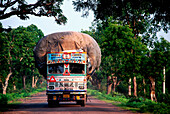 Street of India, Asia