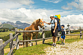 a family of tourists stands in front of a beautiful horse on the Seiser Alm, (Alpe di Siusi), Bolzano province, South Tyrol, Trentino Alto Adige, Italy