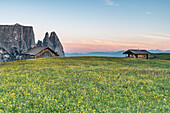 Alpe di Siusi/Seiser Alm, Dolomites, South Tyrol, Italy, The morning on the Alpe di Siusi, In the background the peaks of Sciliar/Schlern