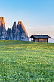 Alpe di Siusi/Seiser Alm, Dolomites, South Tyrol, Italy, Sunrise on the Alpe di Siusi