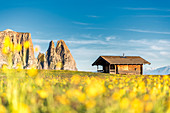 Seiser Alm, Dolomiten, Südtirol, Italien