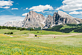 Seiser Alm, Dolomiten, Südtirol, Italien