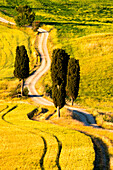 Rolling Hills im Orcia-Tal, Toskana, Provinz Siena, Italien, Europa