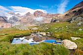 Alpine lake from National park Stelvio Europe, Italy, Trentino region, Venezia valley, Sun valley, Pejo, National park Stelvio