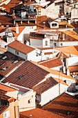 Piran, Slovenian Istria, Slovenia, Elevated view of the city roofs