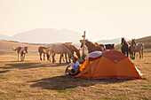 Europe,Italy,Umbria,Perugia district, Castelluccio di Norcia Sibillini Ranch