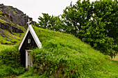 Kirchendach in Island mit Gras bedeckt